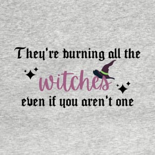 They're Burning All the Witches Taylor Swift T-Shirt